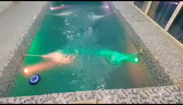 ویلایی استخر آبگرم تصفیه ایسین و سرخون|اجارهٔ کوتاه‌مدت ویلا و باغ|بندرعباس, |دیوار