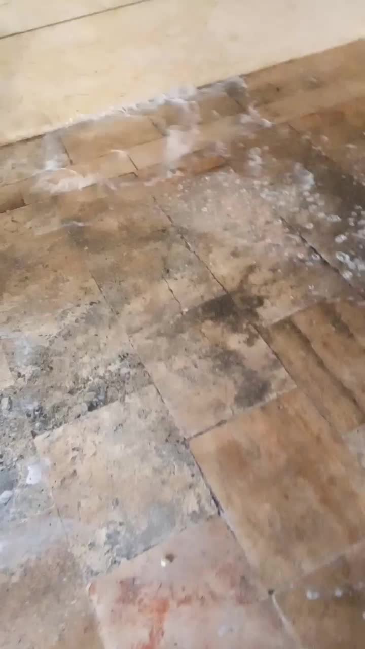 نظافت منزل وشستشوی راه پله وپارکینگ|خدمات نظافت|آمل, |دیوار