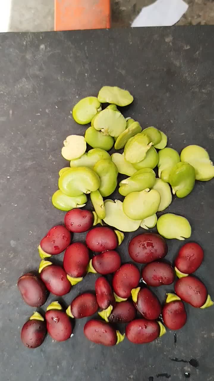 باقالی سبز|خوردنی و آشامیدنی|تهران, توحید|دیوار