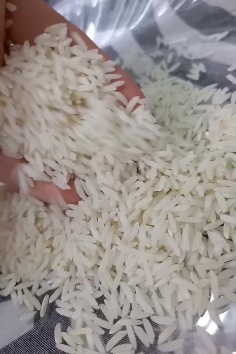 برنج هاشمی درجه یک ۱۴۰۴|خوردنی و آشامیدنی|رشت, دیلمان|دیوار