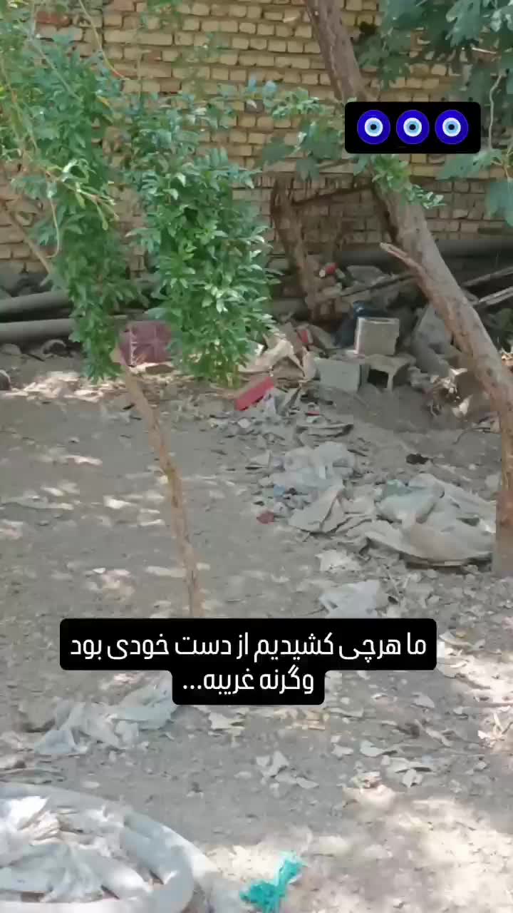 دهن پاک|سگ|اصفهان, نصرآباد|دیوار