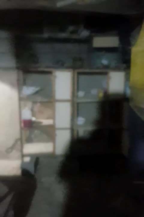 جفت کن با تمام وسیله|لوازم جانبی حیوانات|بندرعباس, |دیوار