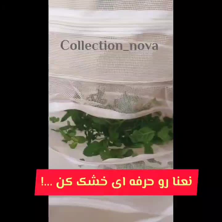نمگیر استند دار و توری میوه خشک کن|آب‌چکان و نظم‌دهنده ظروف|قزوین, |دیوار