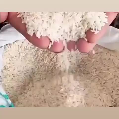 فروش برنج طارم|خوردنی و آشامیدنی|شیراز, رکنآباد|دیوار