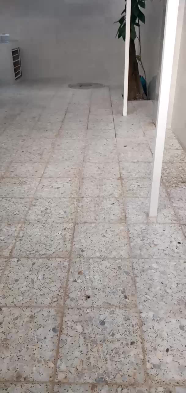 سویت|اجارهٔ کوتاه‌مدت آپارتمان و سوئیت|رشت, حومه رشت|دیوار