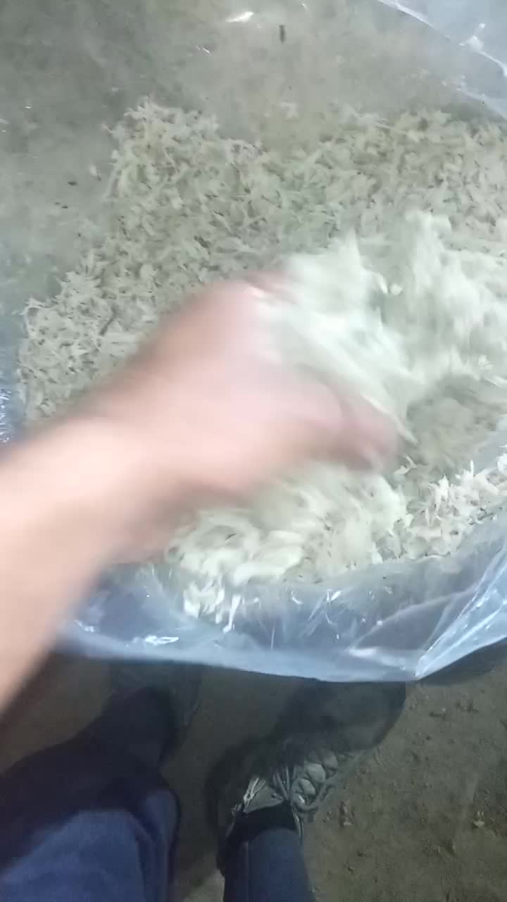 خوراک دام|لوازم جانبی حیوانات|انبارآلوم, |دیوار