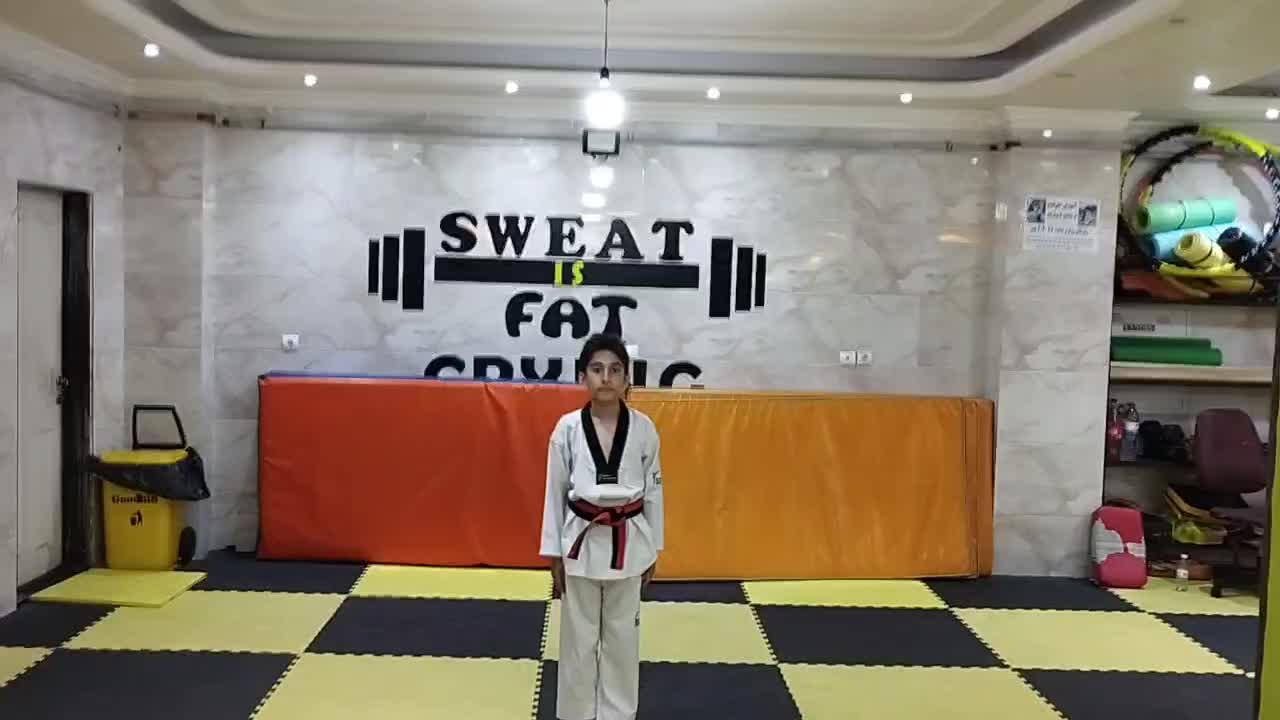 آموزش تکواندو در آکادمی فرشتگان تکواندو آذربایجان|خدمات آموزشی|تبریز, |دیوار