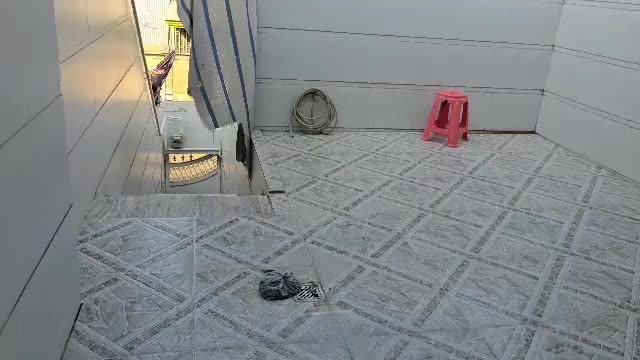 اجاره طبقه دوم کوی ولایت ۳۰۰رهن|اجارهٔ آپارتمان|اندیمشک, |دیوار