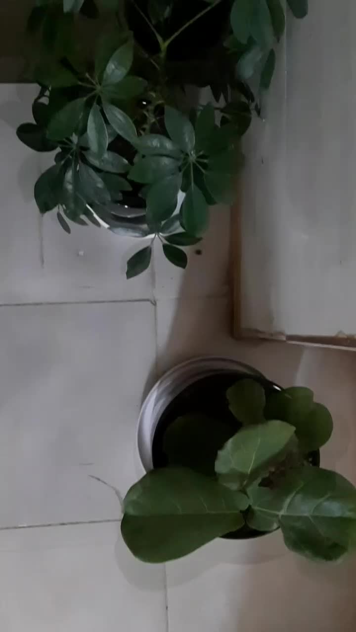 آموزشگاه نقاشی سَرو|خدمات آموزشی|ایذه, |دیوار