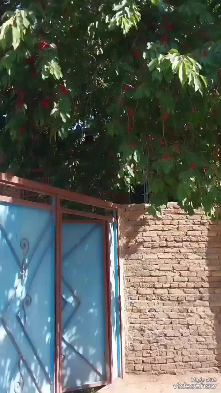 این ملک فروش میرسد در روستای پریخان|فروش خانه و ویلا|مشگین شهر, |دیوار