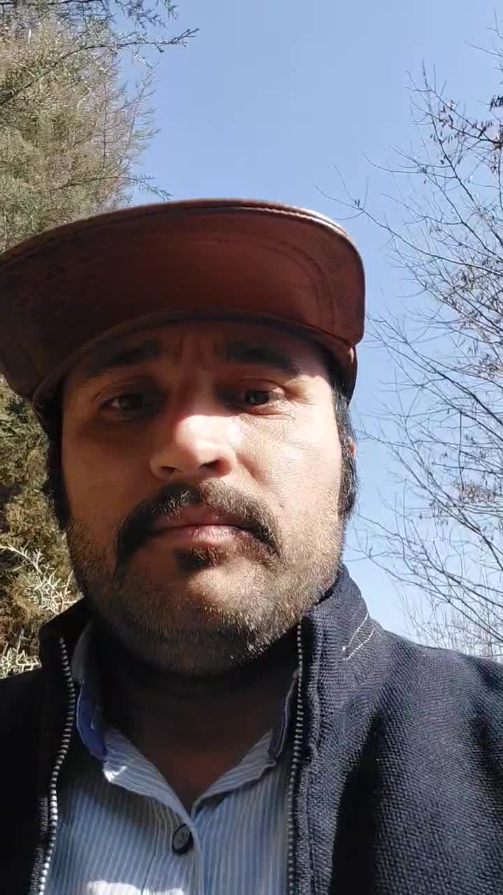 درخت نهال اقاقیا ۴تا۸متر ارتفاع مقاوم کم آبی وگرما|خدمات باغبانی و درختکاری|مشهد, سپاد|دیوار