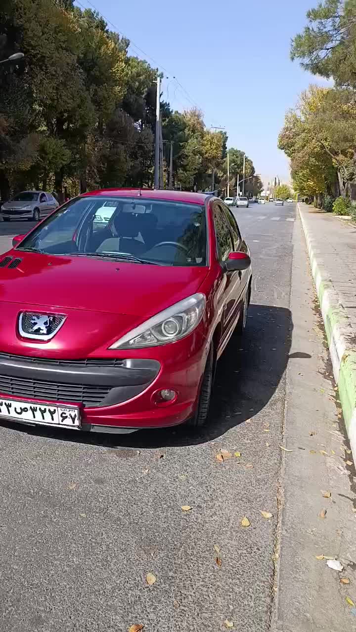 ۲۰۷ فرانسوی البالویی بدون رنگ بدون ضربه|خودرو سواری و وانت|اصفهان, باغ زرشک|دیوار