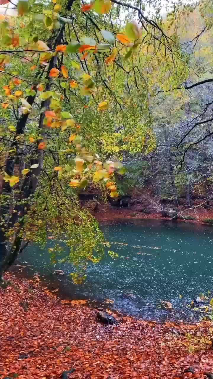 فروش پلوپزنو|اجاق گاز و لوازم برقی پختوپز|اسلامشهر, شهرک سعیدیه|دیوار