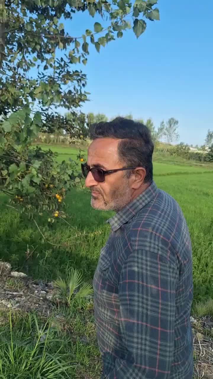 فروش برنج طارم (تضمین فقط یک بار امتحان کن)|خوردنی و آشامیدنی|تهران, بنی‌هاشم|دیوار