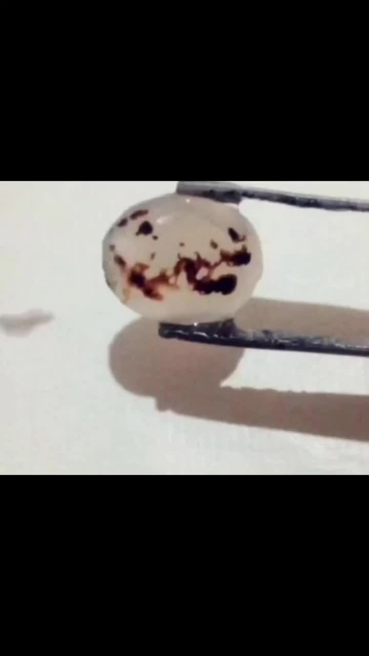 عقیق شجراسمی حسین محمد|کلکسیون اشیاء عتیقه|قم, زند آباد|دیوار