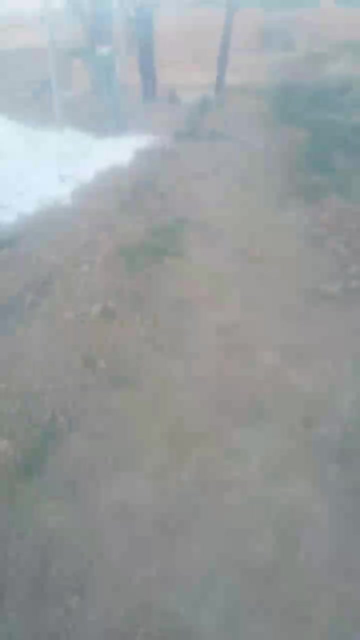 ساخت اسکلت و درب و پنجره و فنس|خدمات پیشه و مهارت|اراک, |دیوار