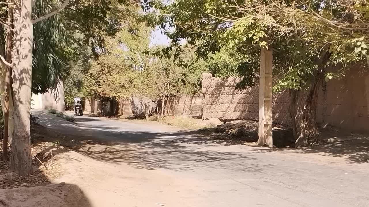 گاری.موتور|موتورسیکلت|مهریز, |دیوار