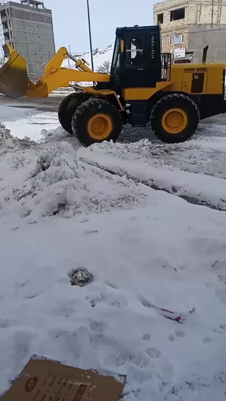 خدمات لودری شیری|خودرو سنگین|تکاب, |دیوار