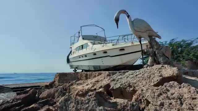 کافه کلوپ غواصی ایران زمین|غواصی و ورزشهای آبی|قشم, |دیوار