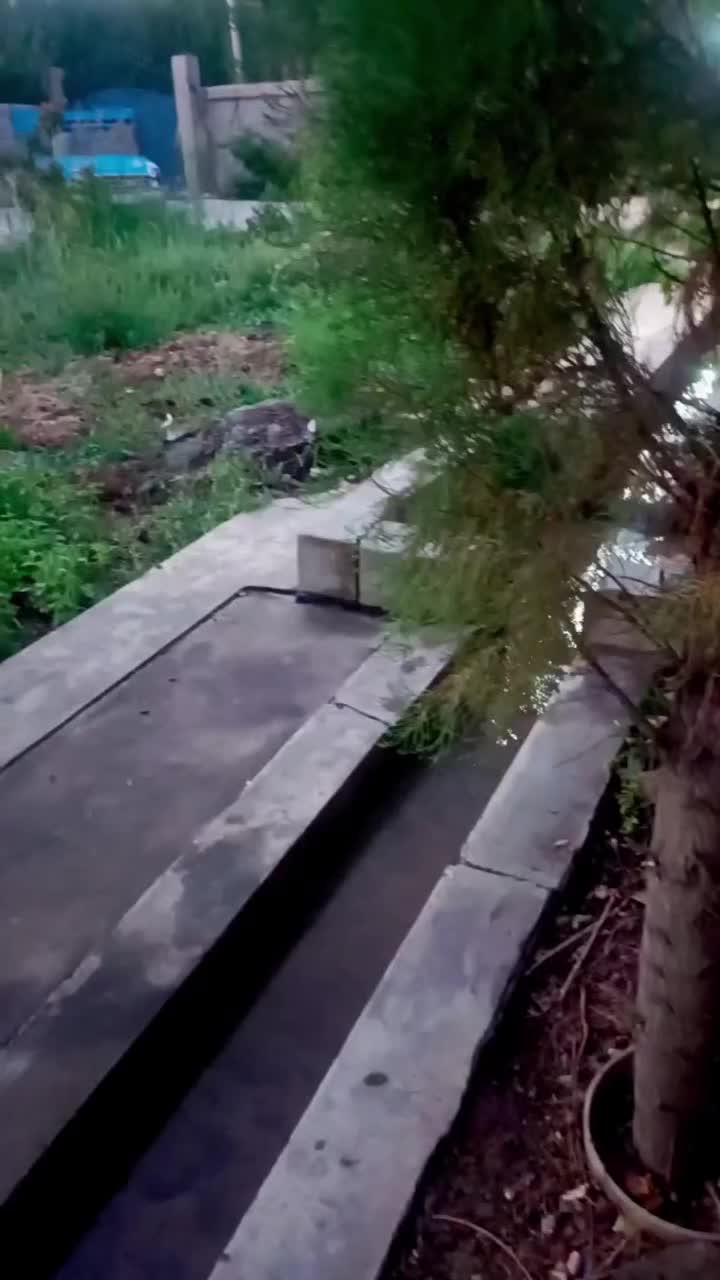 اجاره باغ ویلا در بهترین لوکیشن سپیدان سربست|اجارهٔ کوتاه‌مدت ویلا و باغ|سپیدان, |دیوار