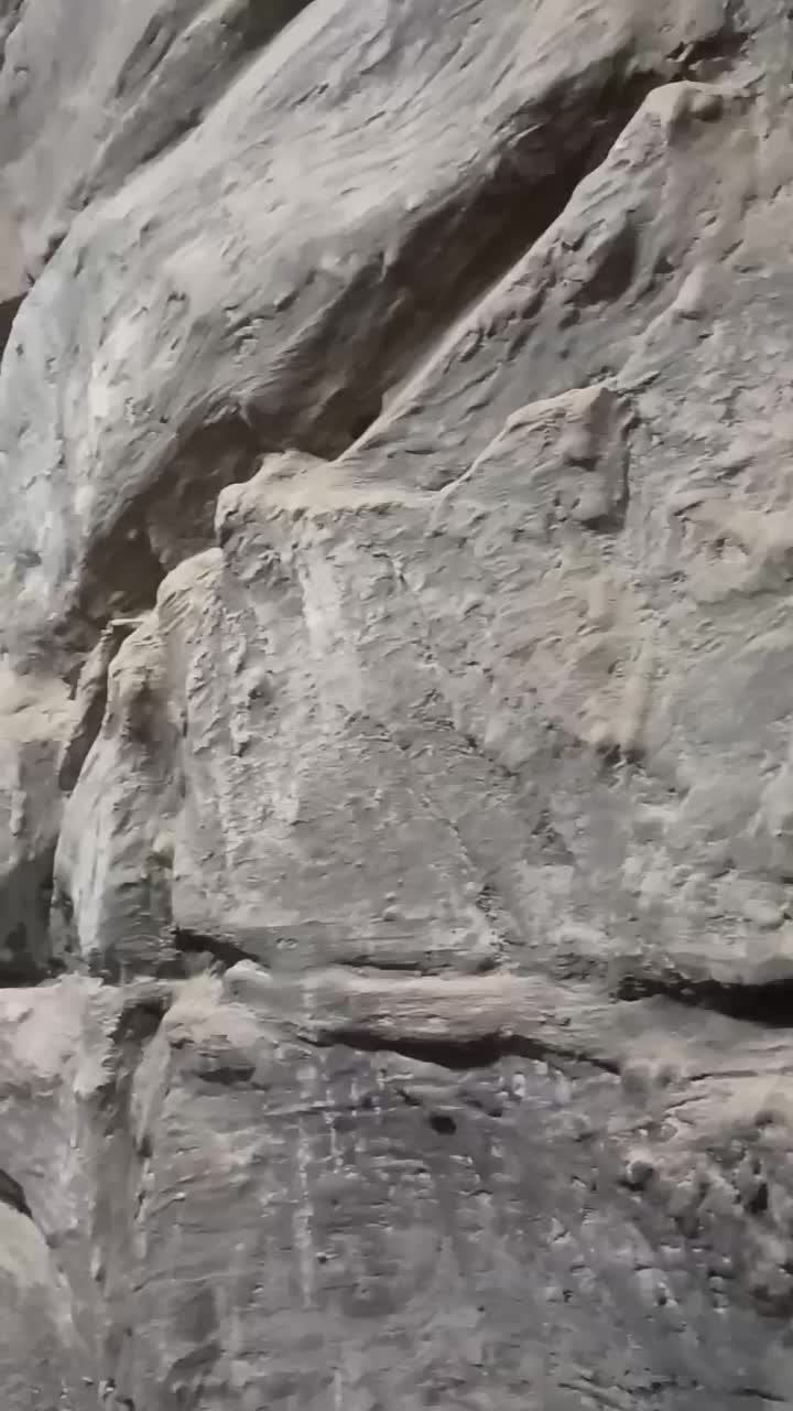 اجرای تخصصی میکروسمنت|خدمات پیشه و مهارت|تهران, دزاشیب|دیوار