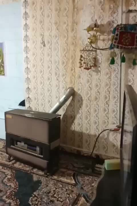 کبوتر|پرنده|چیتاب, |دیوار