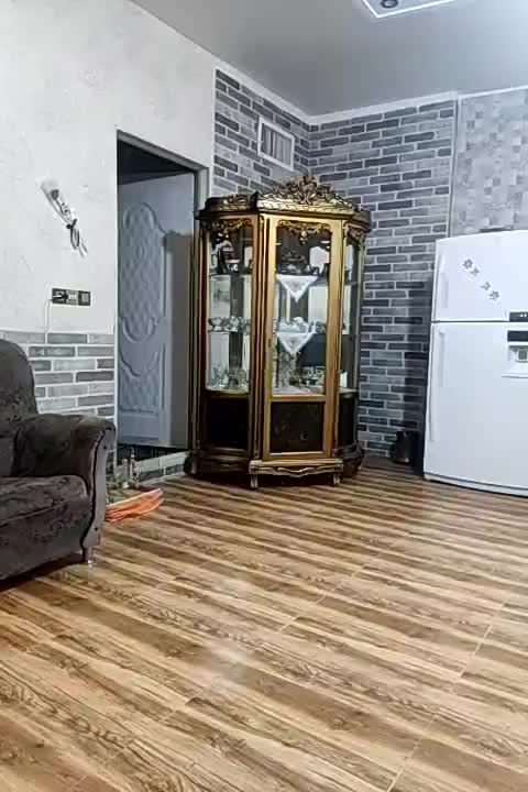فروش 3عددعروس هلندی باقفس|پرنده|دلیجان, |دیوار