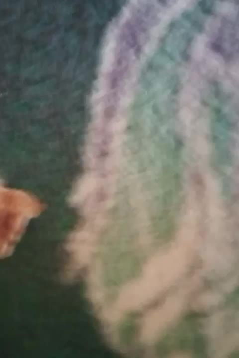 یک واحد تازه شروع به کار|فروش زمین و ملک کلنگی|ریگان, |دیوار