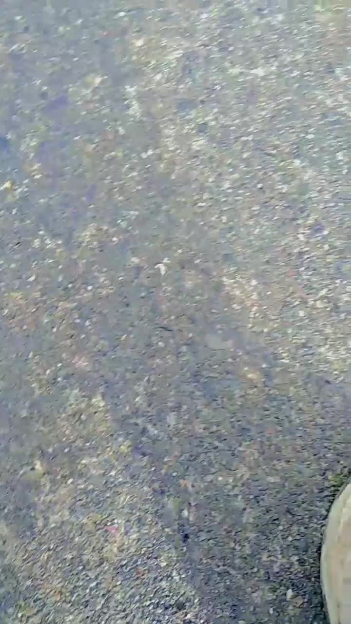 پژو۴۰۵|خودرو سواری و وانت|بیرجند, |دیوار