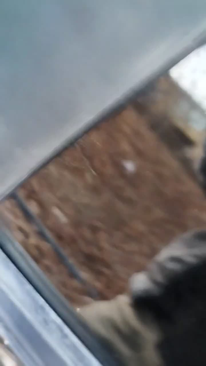 ماشین 405|خودرو سواری و وانت|قیدار, |دیوار