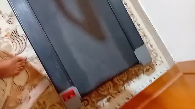 تردمیل کارنکرده سفارش دبی .پاسارگاد|تجهیزات ورزشی|شیراز, قالیشویی|دیوار