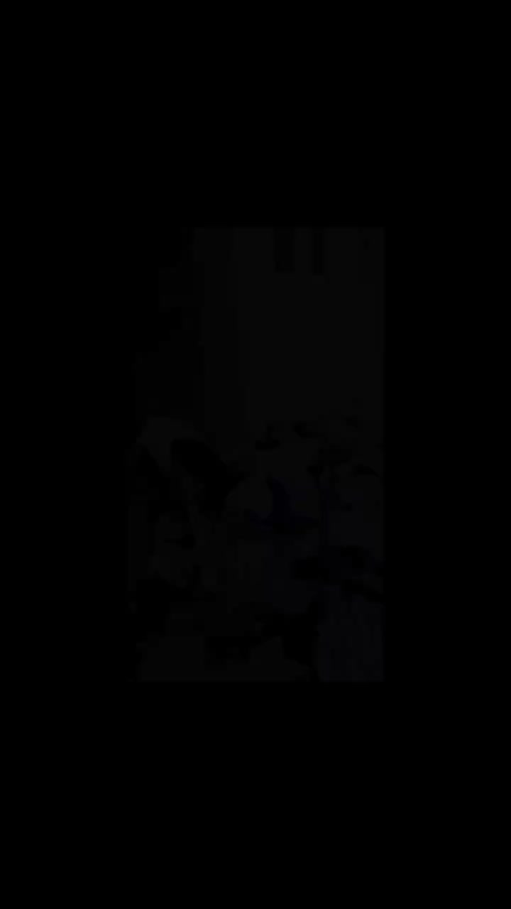 چند عدد هارتفورد150|موتورسیکلت|سردشت, |دیوار