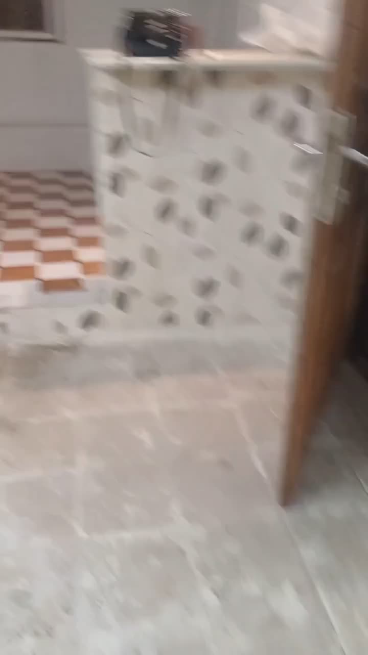 47متری/طبقه دو/250 رهن کامل|اجارهٔ آپارتمان|تهران, شوش|دیوار