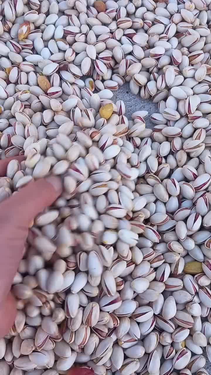 پسته بدون پوست|خوردنی و آشامیدنی|مشهد, مصلی (کارمندان اول)|دیوار
