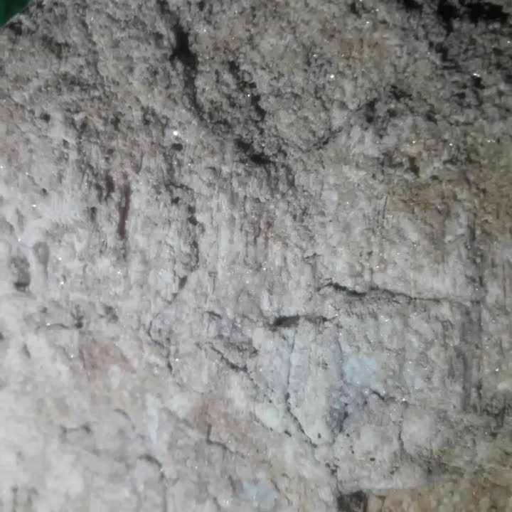 سنگ|جواهرات|شیراز, محمودآباد|دیوار