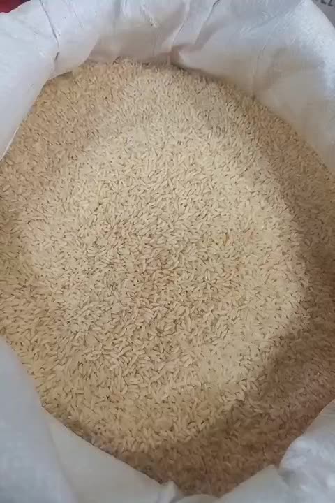 برنج سونا لکی|خوردنی و آشامیدنی|کرج, حصارک بالا|دیوار