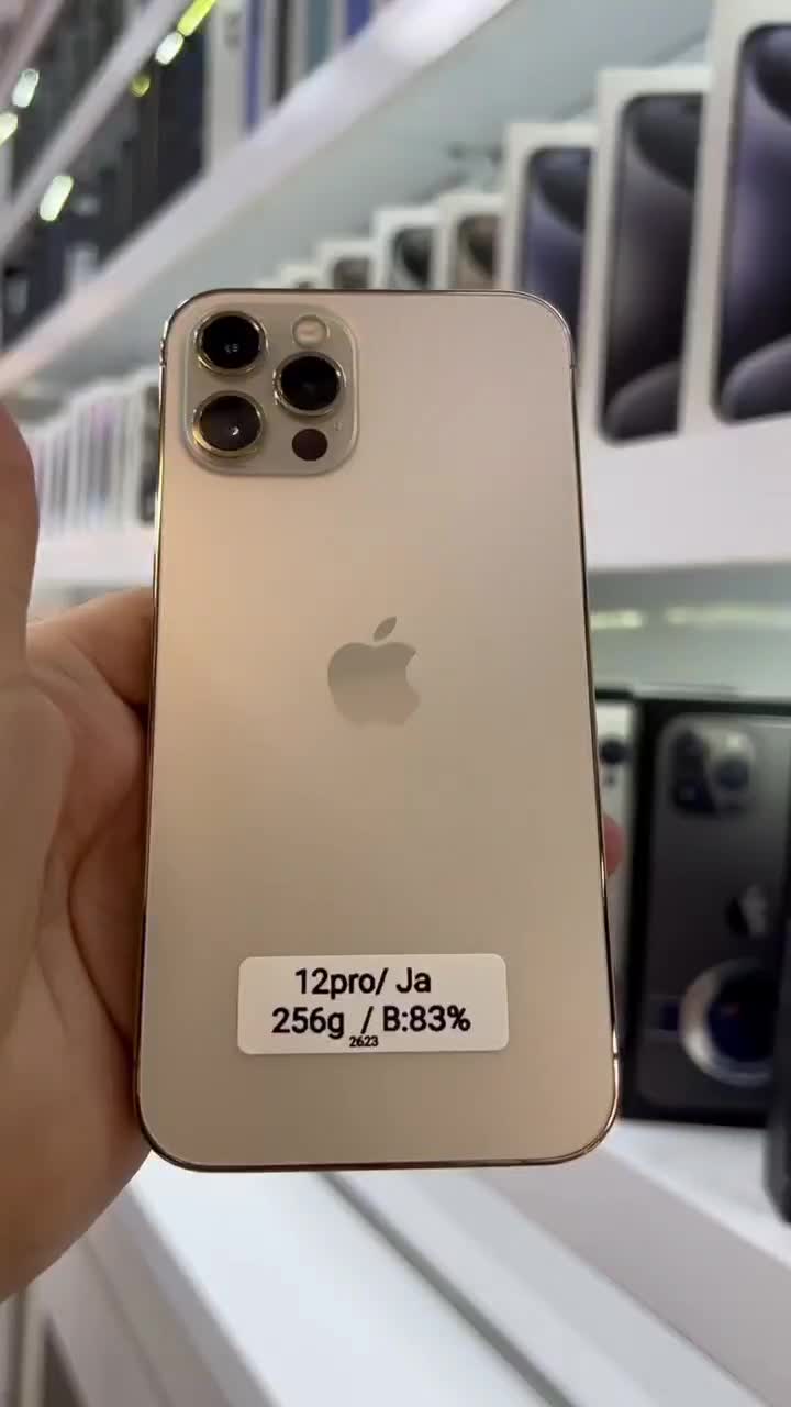 iphone 12pro zaa gold ایفون|موبایل|همدان, |دیوار