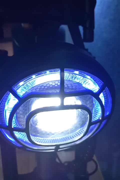 دوچرخه برقی ۲۰۲۵ دو باطری|دوچرخه، اسکیت، اسکوتر|تهران, آرژانتین|دیوار