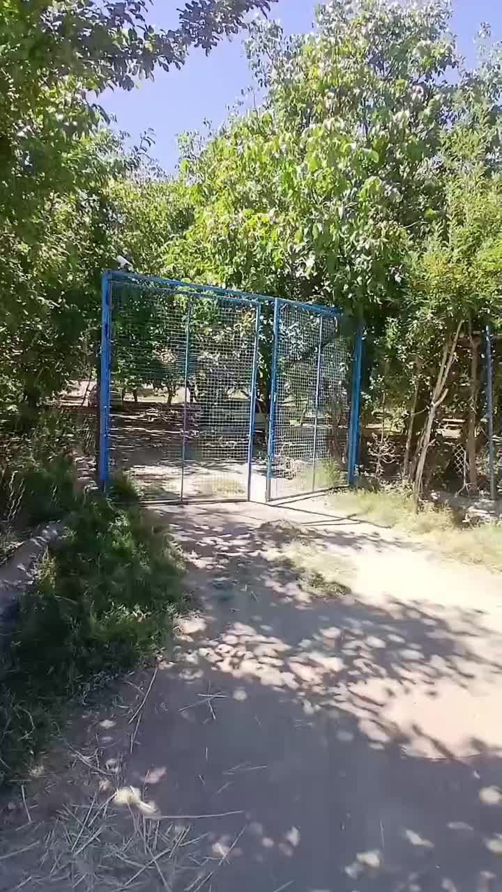 باغ ویلا لاکچری خوش آب و هوا|فروش خانه و ویلا|فریدونشهر, |دیوار