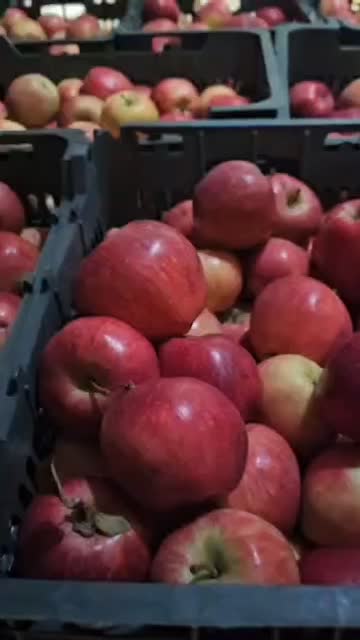 زیر سورت۱۲۰تن|خوردنی و آشامیدنی|اشنویه, |دیوار