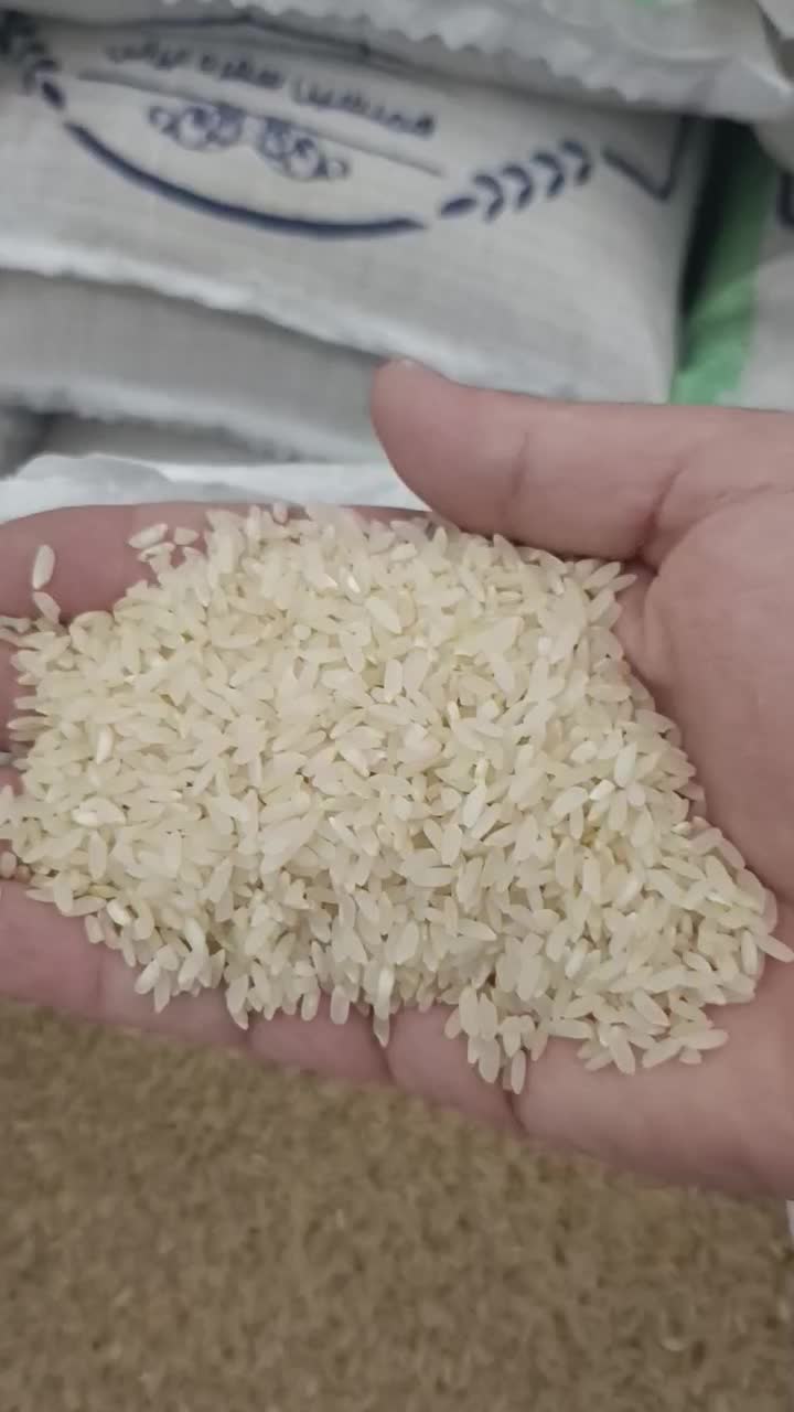 برنج کامفیروزی درجه یک به شرط قیمت 255|خوردنی و آشامیدنی|شیراز, شهدای شهرک سعدی|دیوار