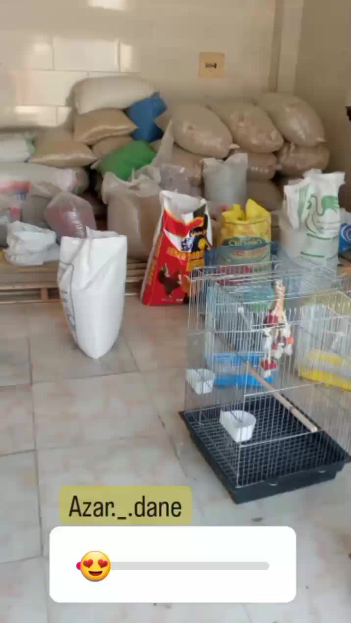 دانه سرای آذر گندم ۳۱ عمده و خرده|لوازم جانبی حیوانات|میناب, |دیوار