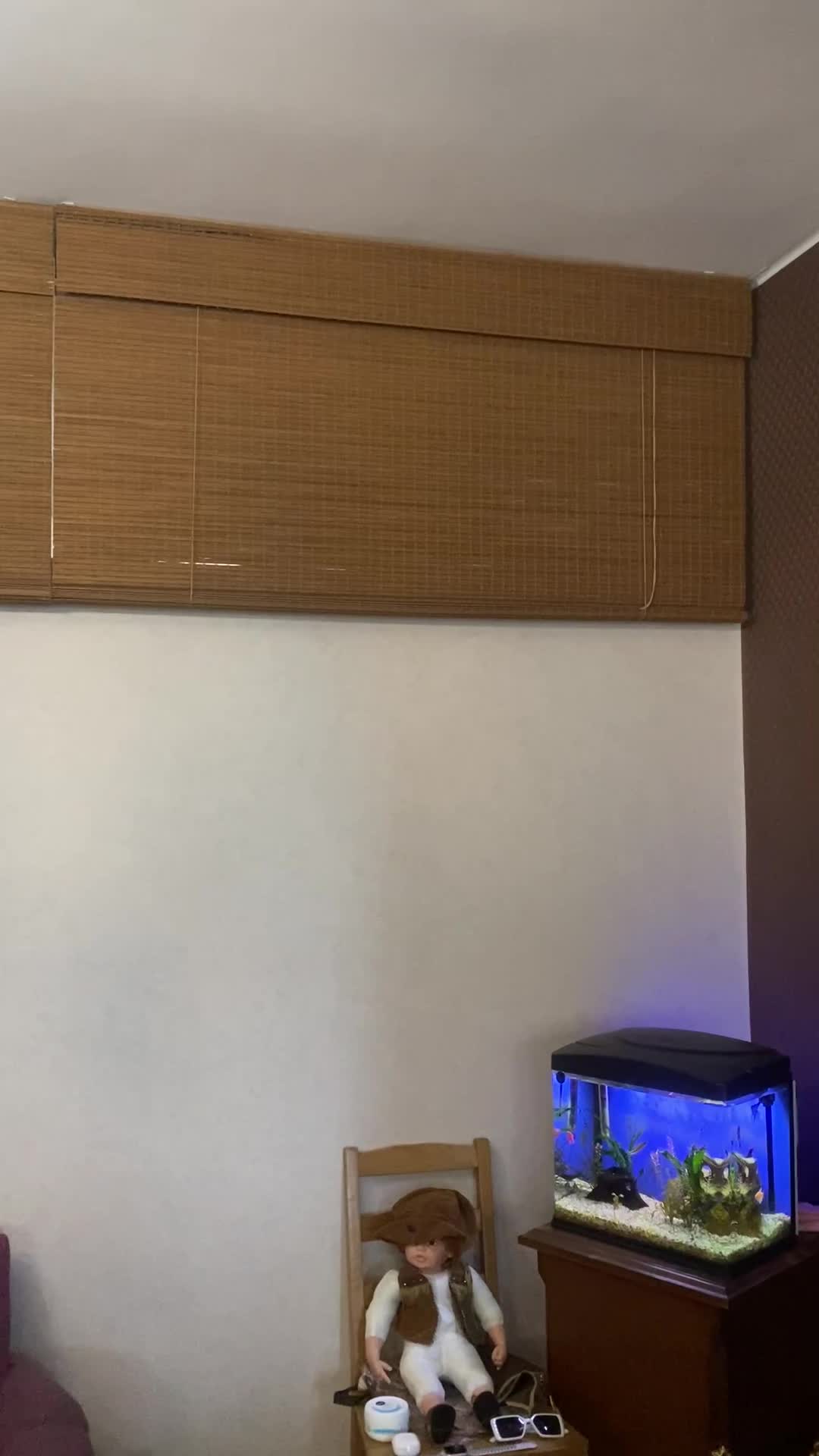 پرده چوبی|پرده، رانر، رومیزی|تهران, صادقیه|دیوار