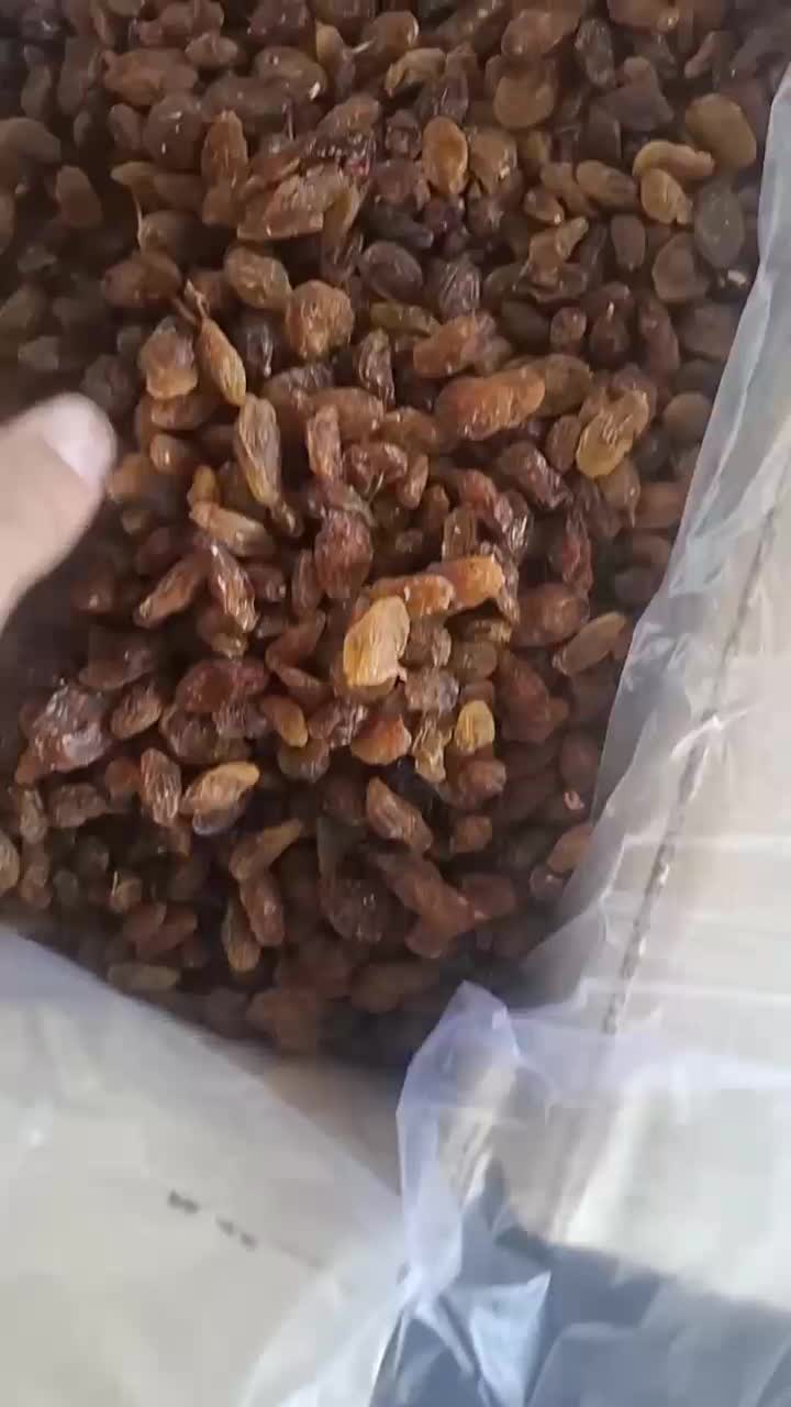 مویز  ، شیره انگور|خوردنی و آشامیدنی|ساوه, |دیوار