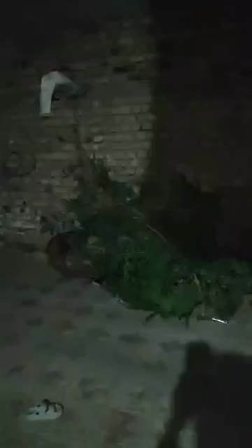 منزل اجاره ای|اجارهٔ خانه و ویلا|ایرانشهر, |دیوار