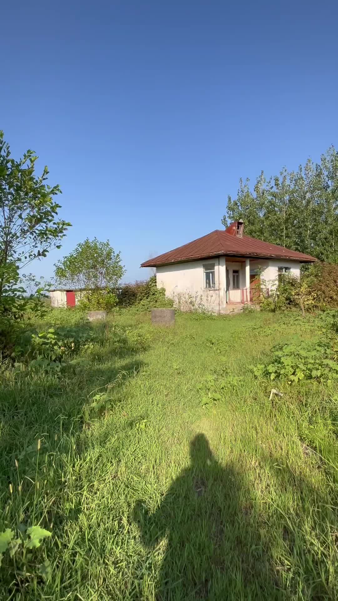 خانه و محوطه قدیمی باشرایط پرداخت چکی|فروش خانه و ویلا|رضوانشهر, |دیوار