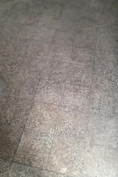 اجاره سوله ۲۶۰ متری|اجارهٔ دفتر صنعتی، کشاورزی، تجاری|کاشان, دشت لتحر|دیوار