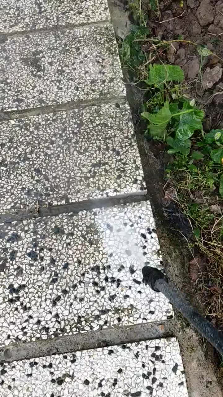 نظافت و شستشوی سنگ و موزاییک کف . نما . استخر .|خدمات نظافت|بابل, |دیوار