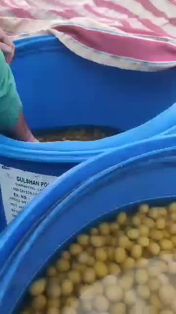 زیتون کنسروی لوکس|عمده‌فروشی|رودبار, |دیوار