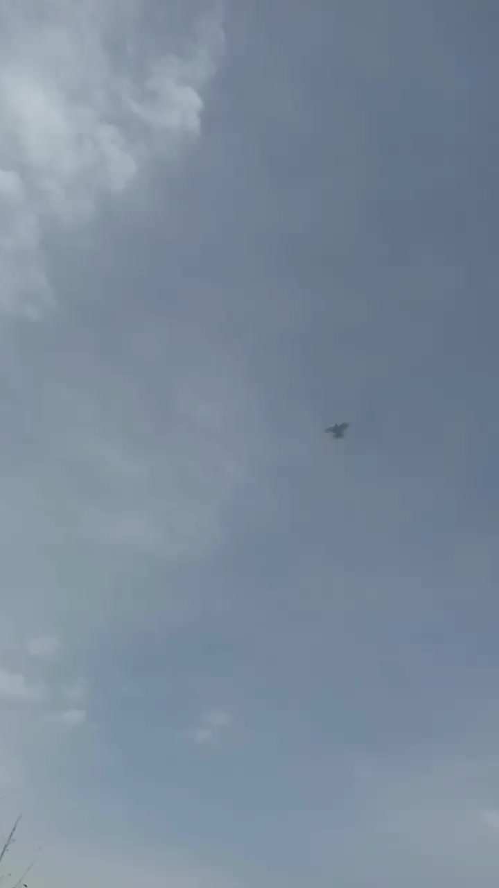 نر وماده پرش سنگین ومیلو بازی دار|پرنده|لاران, |دیوار